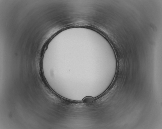 X0000112031410200908311206