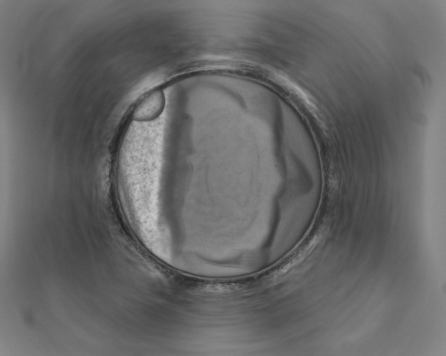 X0000112031411200908311206