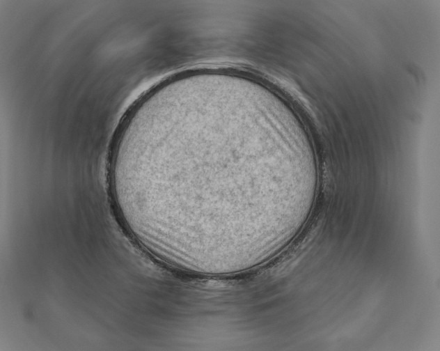 X0000112031412200908311206