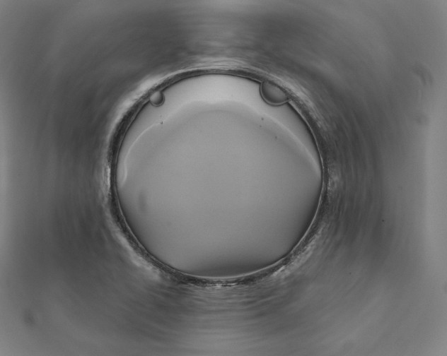 X0000112031414200908311206