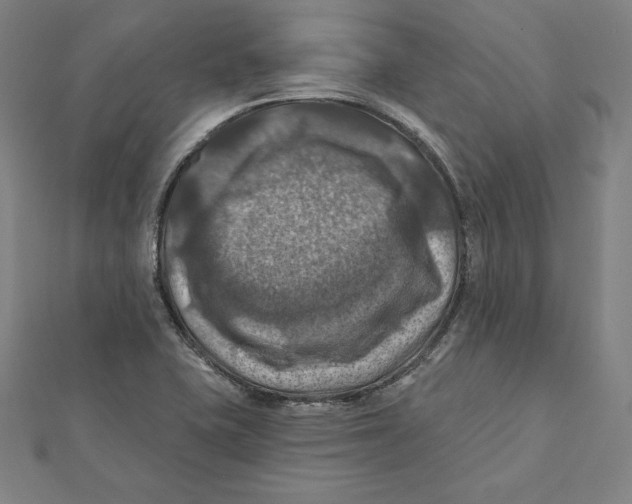 X0000112031415200908311206