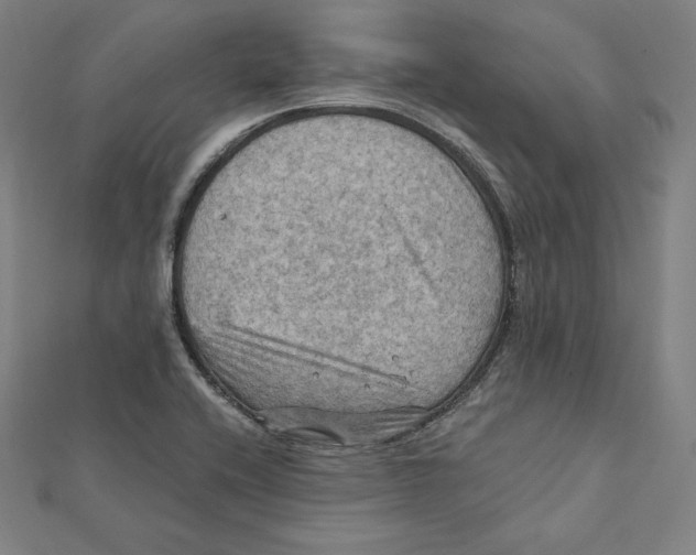 X0000112031416200908311206