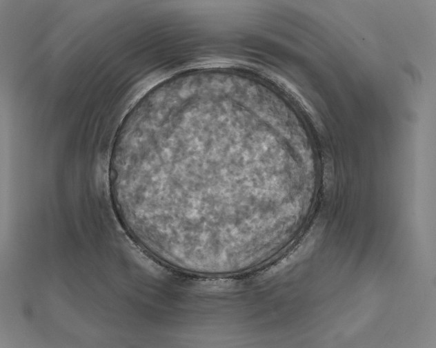 X0000112031417200908311206