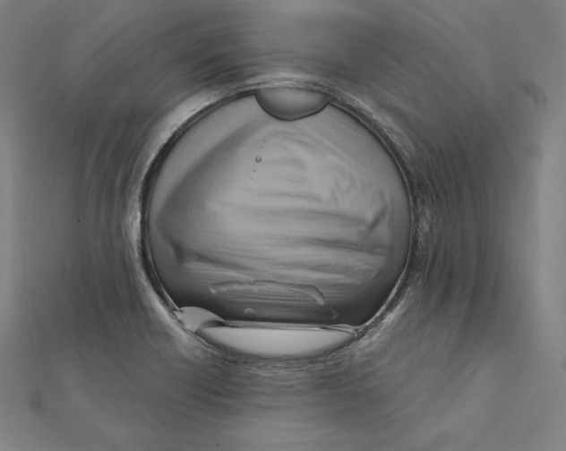X0000112031418200908311206