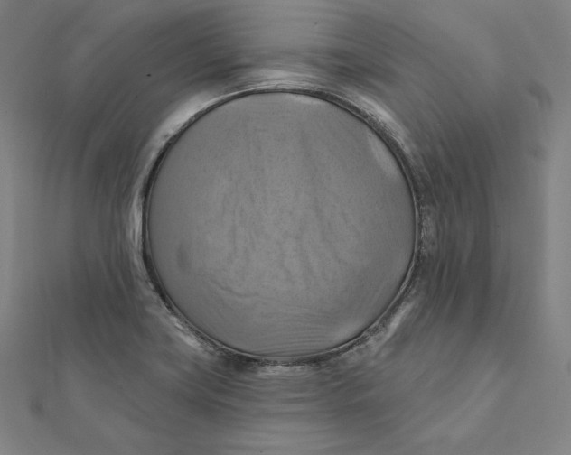X0000112031419200908311206