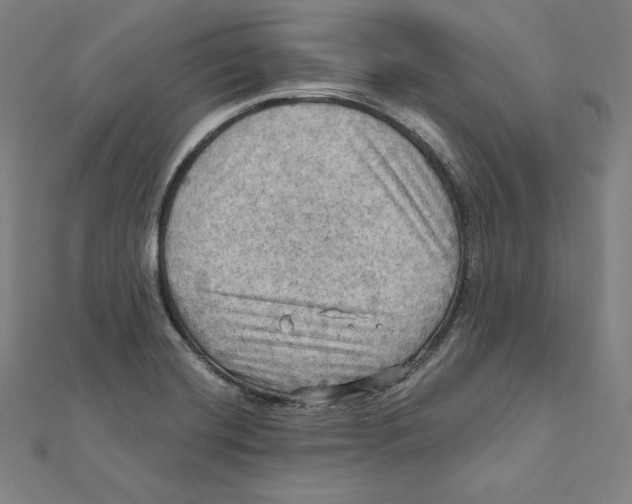 X0000112031420200908311206