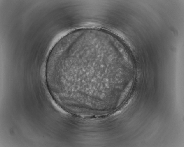 X0000112031421200908311206