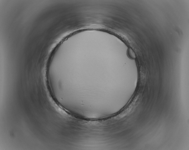 X0000112031422200908311206