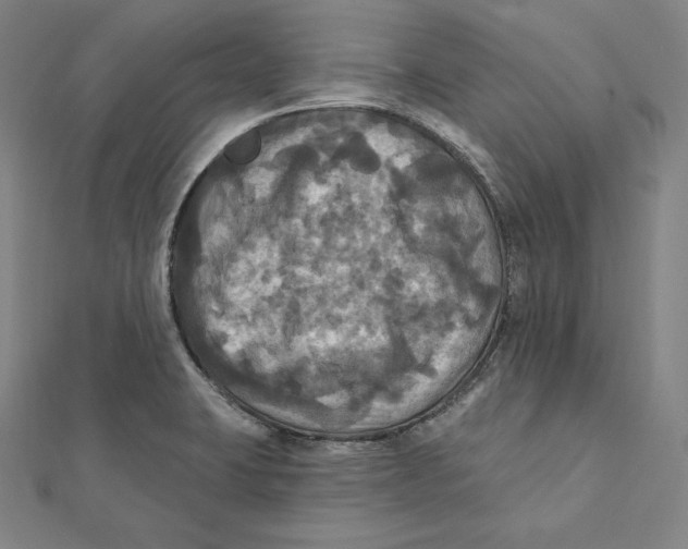 X0000112031423200908311206