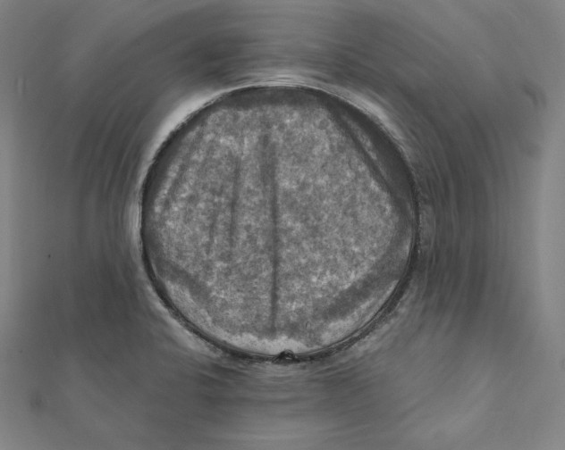 X0000112031424200908311206