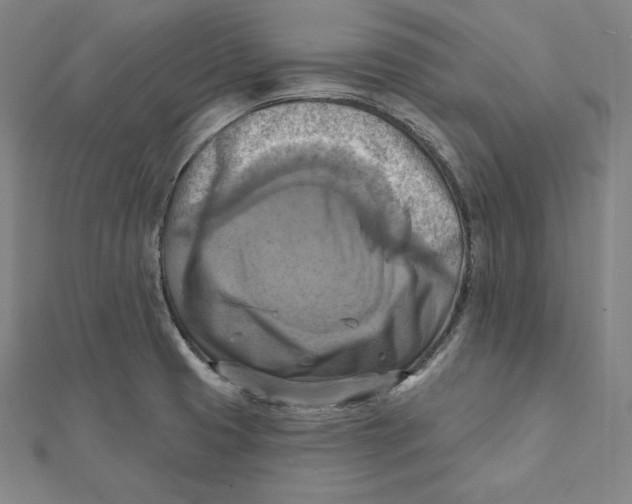 X0000112031425200908311206