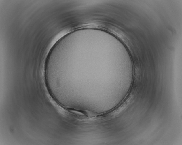 X0000112031426200908311206