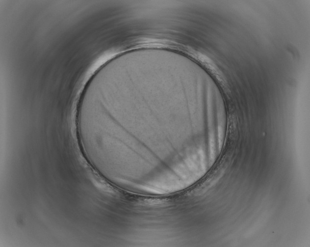 X0000112031427200908311206
