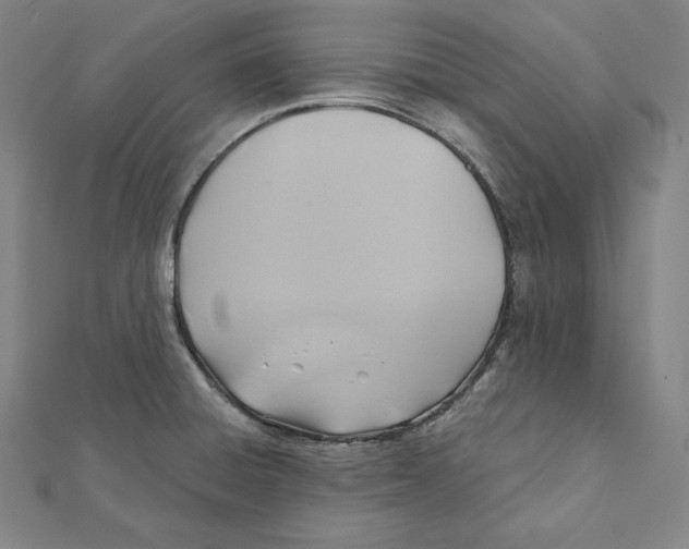 X0000112031428200908311206
