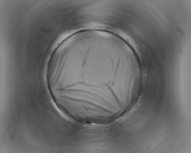 X0000112031429200908311206