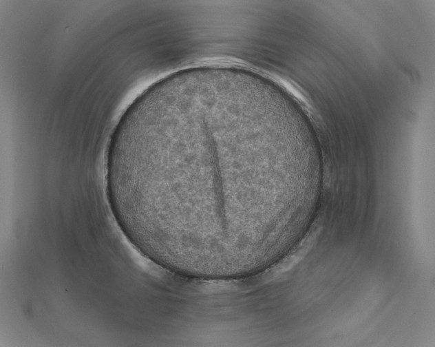 X0000112031430200908311206