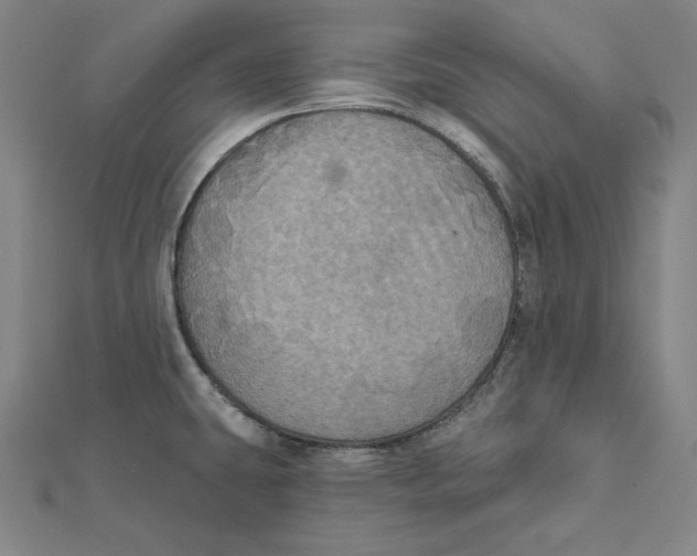 X0000112031431200908311206