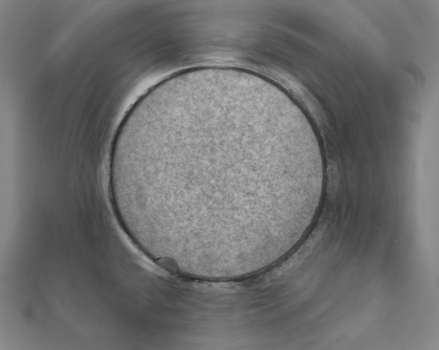 X0000112031432200908311206