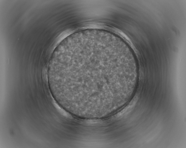 X0000112031433200908311206