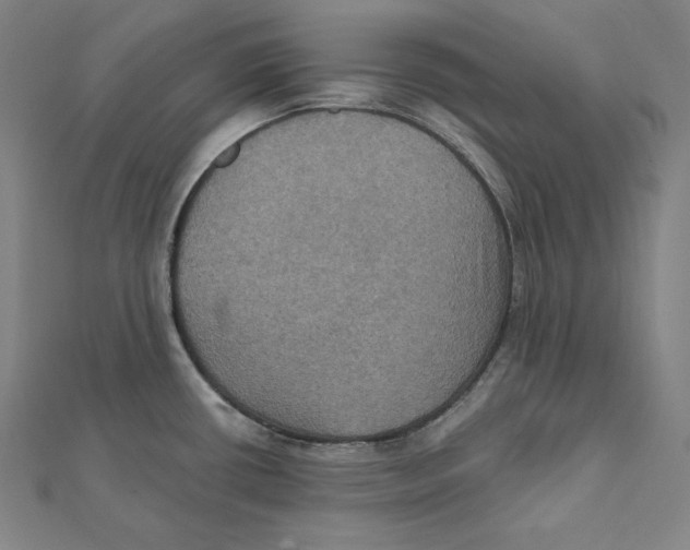 X0000112031434200908311206