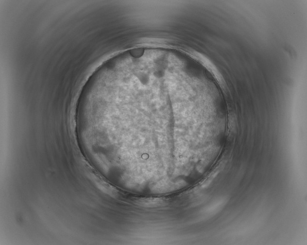 X0000112031435200908311206