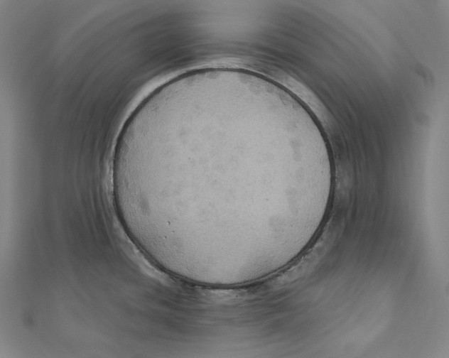 X0000112031436200908311206