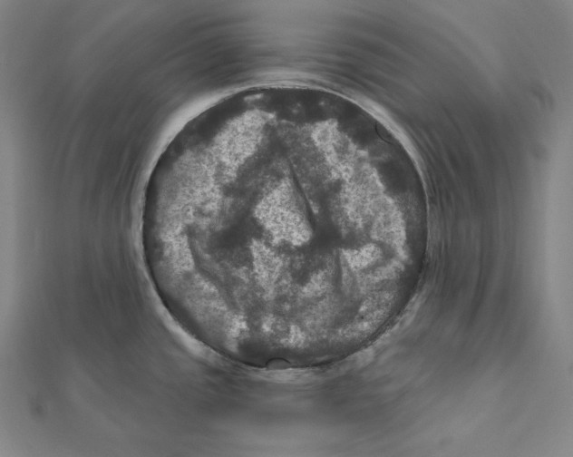 X0000112031437200908311206