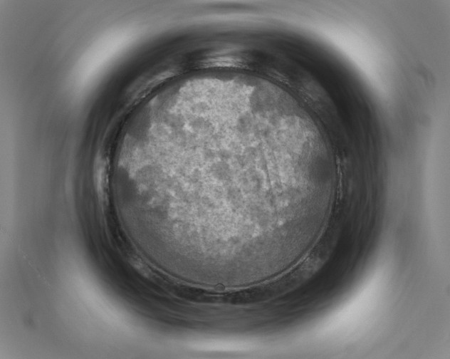 X0000112031438200908311206