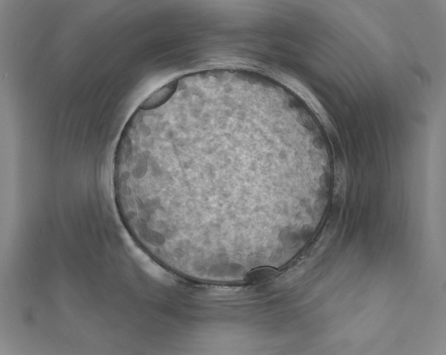 X0000112031439200908311206