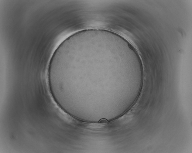 X0000112031440200908311206