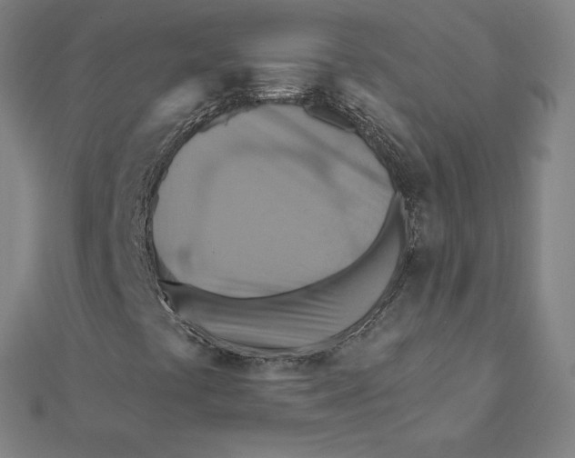 X0000112031441200908311206