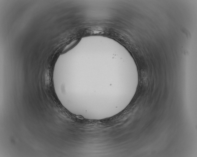 X0000112031442200908311206