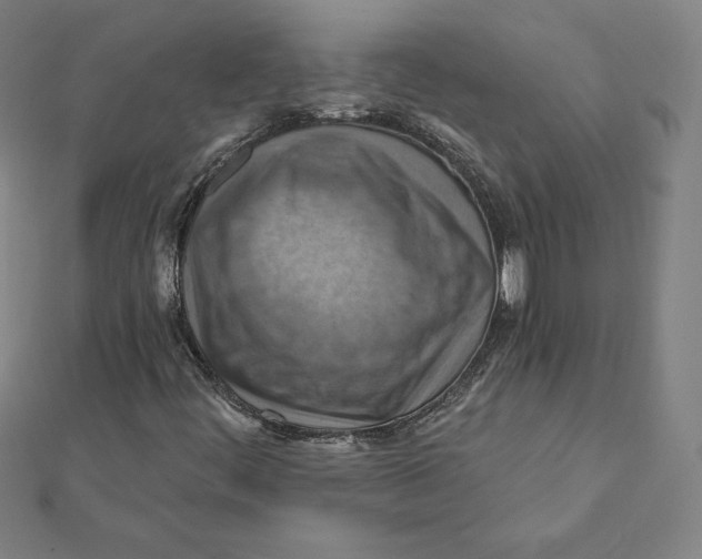 X0000112031444200908311206