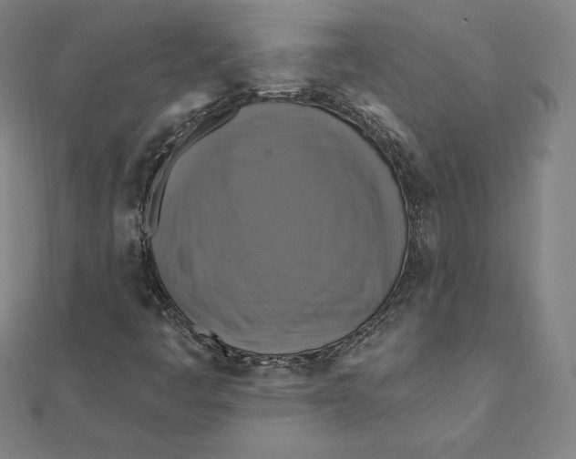 X0000112031445200908311206