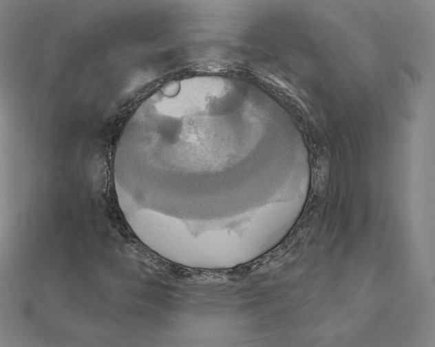 X0000112031446200908311206