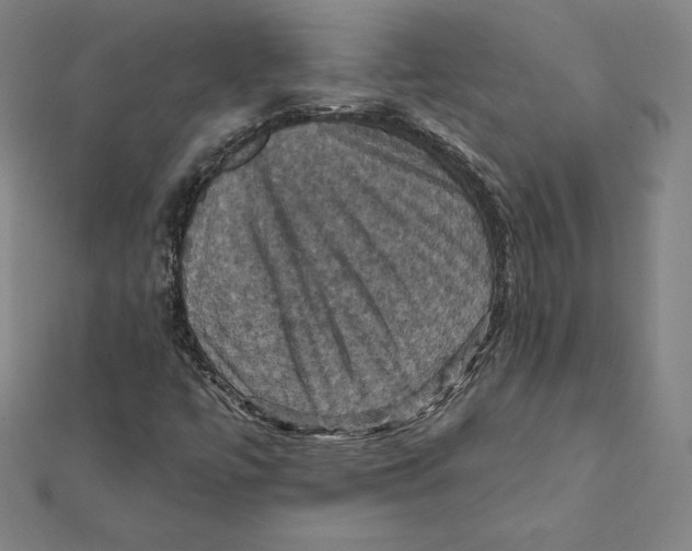 X0000112031447200908311205