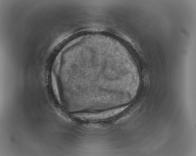 X0000112031448200908311205