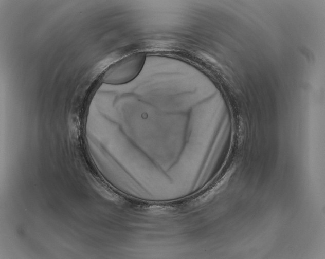X0000112031449200908311205