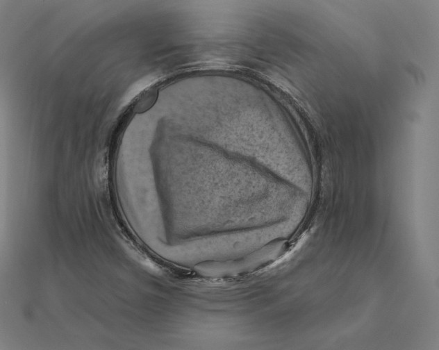 X0000112031450200908311205