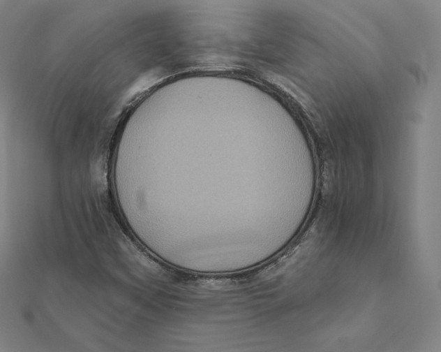X0000112031451200908311205