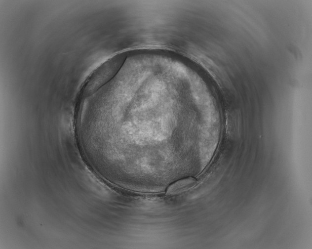 X0000112031452200908311205