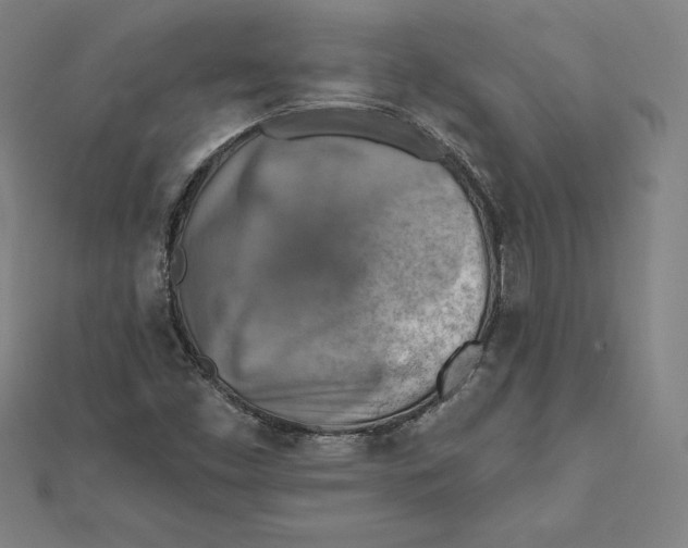 X0000112031453200908311205