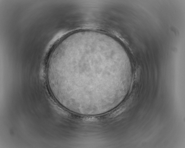 X0000112031454200908311205