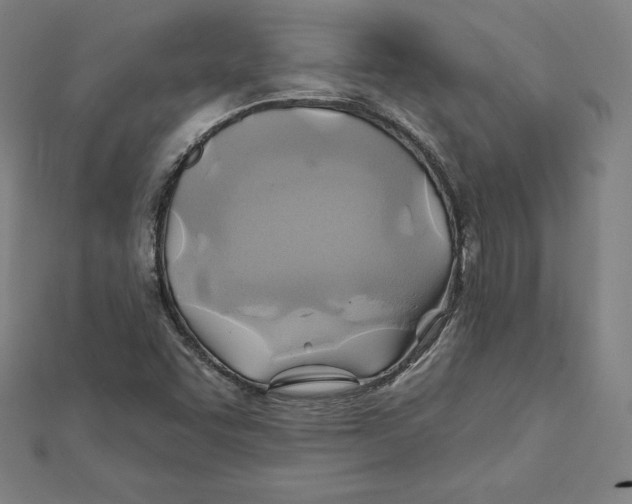 X0000112031455200908311205