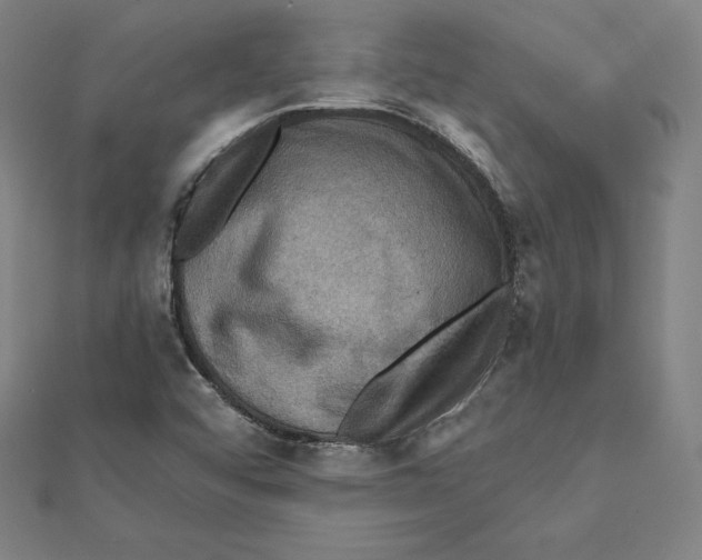 X0000112031456200908311205
