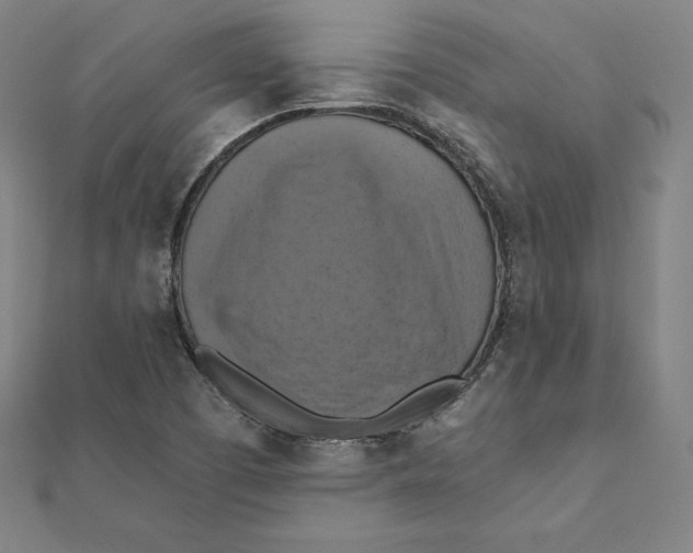 X0000112031457200908311205