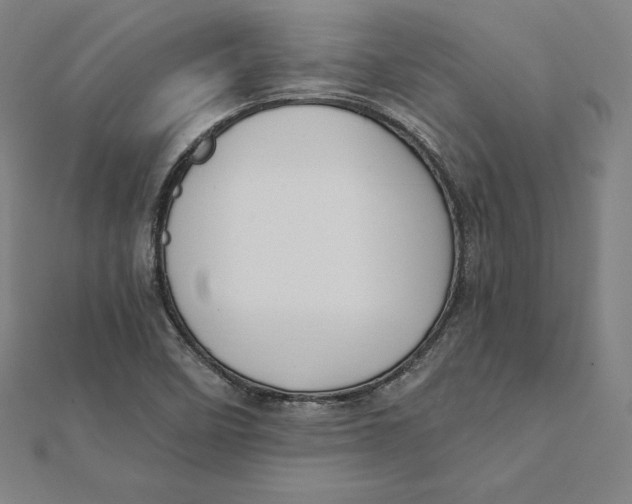 X0000112031458200908311205