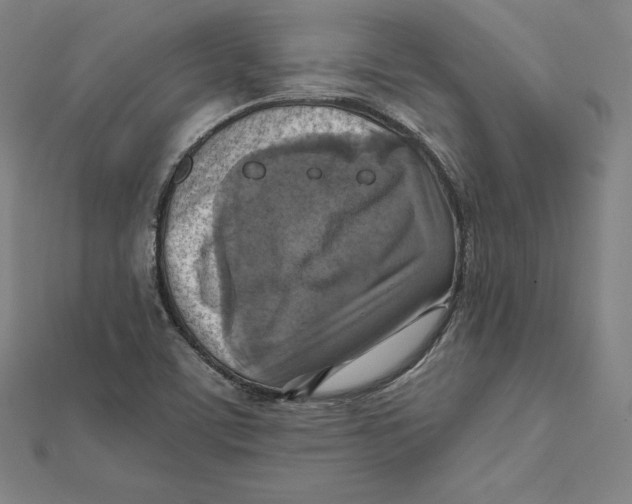 X0000112031459200908311205