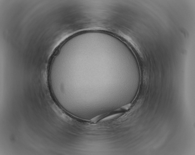 X0000112031460200908311205