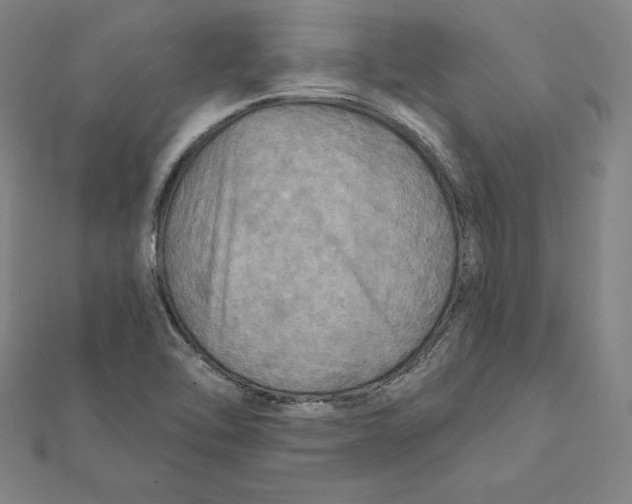 X0000112031462200908311205